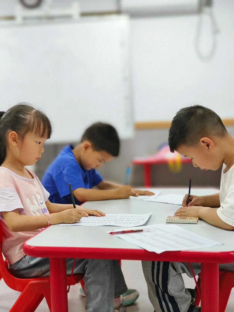 早教课程：孩子的第一步启航